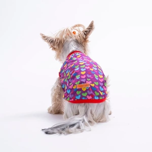 26837-PAWSTAR HEARTS TSHİRT 6LI SET (S-M-L-L-XL-2XL)