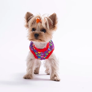 26837-PAWSTAR HEARTS TSHİRT 6LI SET (S-M-L-L-XL-2XL)