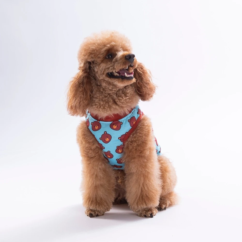 26838-PAWSTAR BEARS TSHİRT 6LI SET (S-M-L-L-XL-2XL)