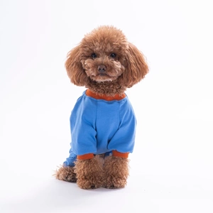 26901-PAWSTAR MAVİ DUCKS PİJAMA TULUM 5Lİ SET (M-L-L-XL-2XL)