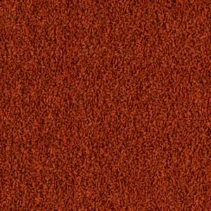 710855-TETRA DİSCUS GRANÜLES 15GR