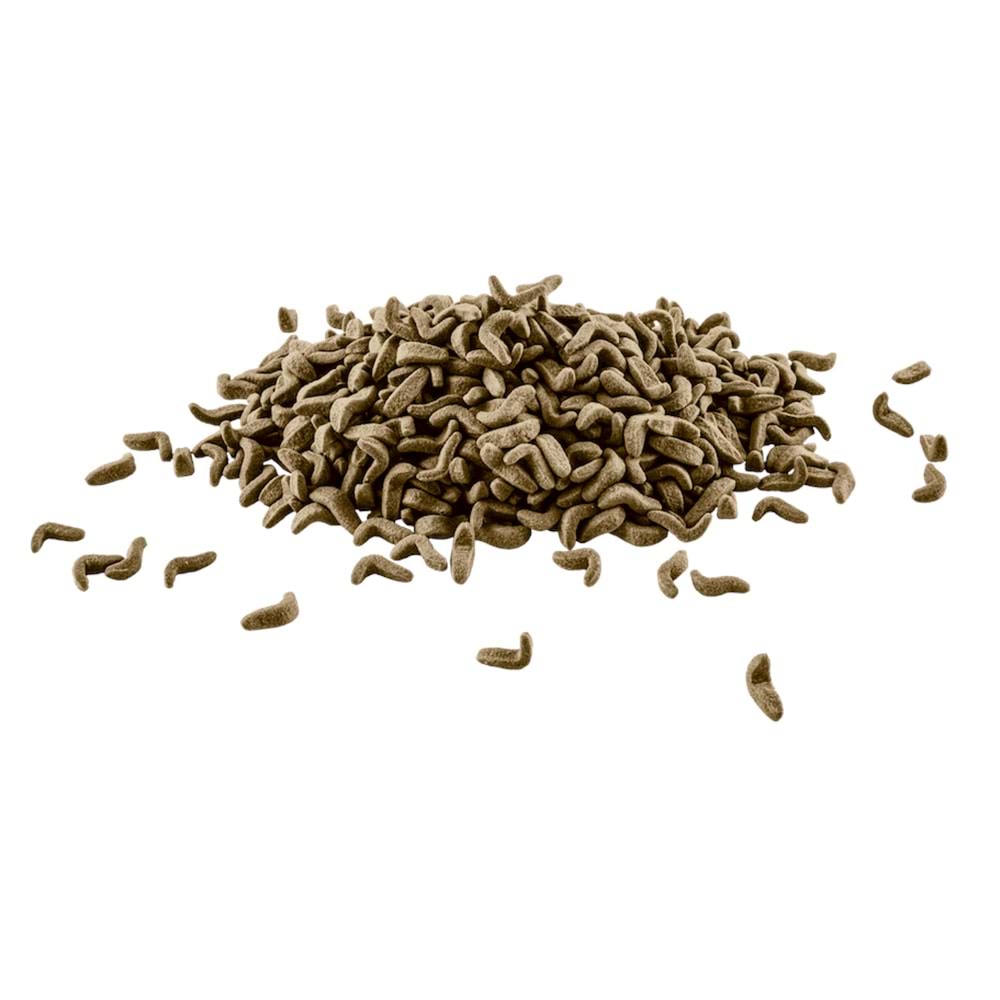 753518-TETRA REPTOMİN 500ML