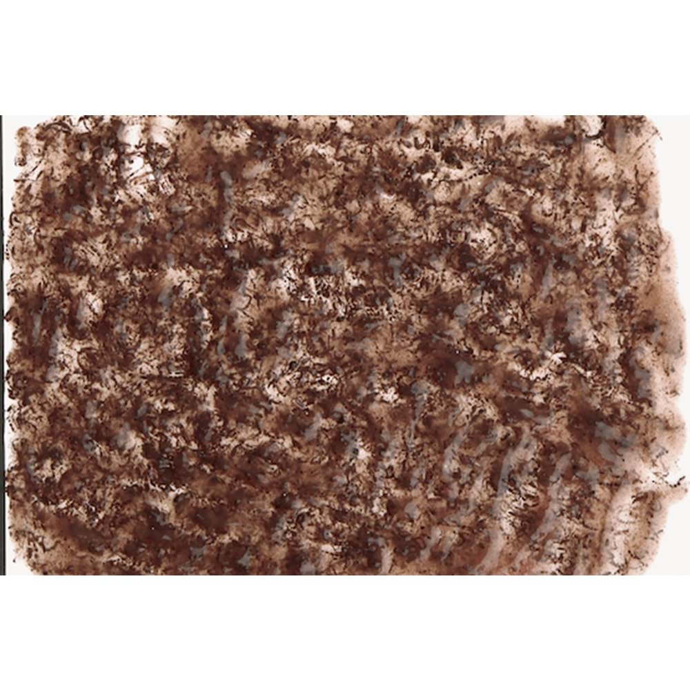 766952-TETRA FRESHDELİCA BLOODWORMS 48GR
