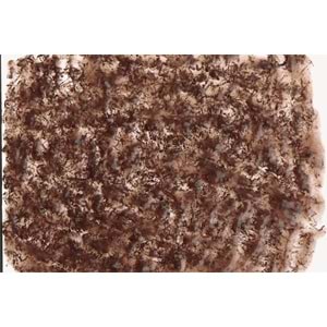766952-TETRA FRESHDELİCA BLOODWORMS 48GR