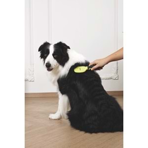 60107399 M-PETS CLICK AND GROOM KIL FIRÇA