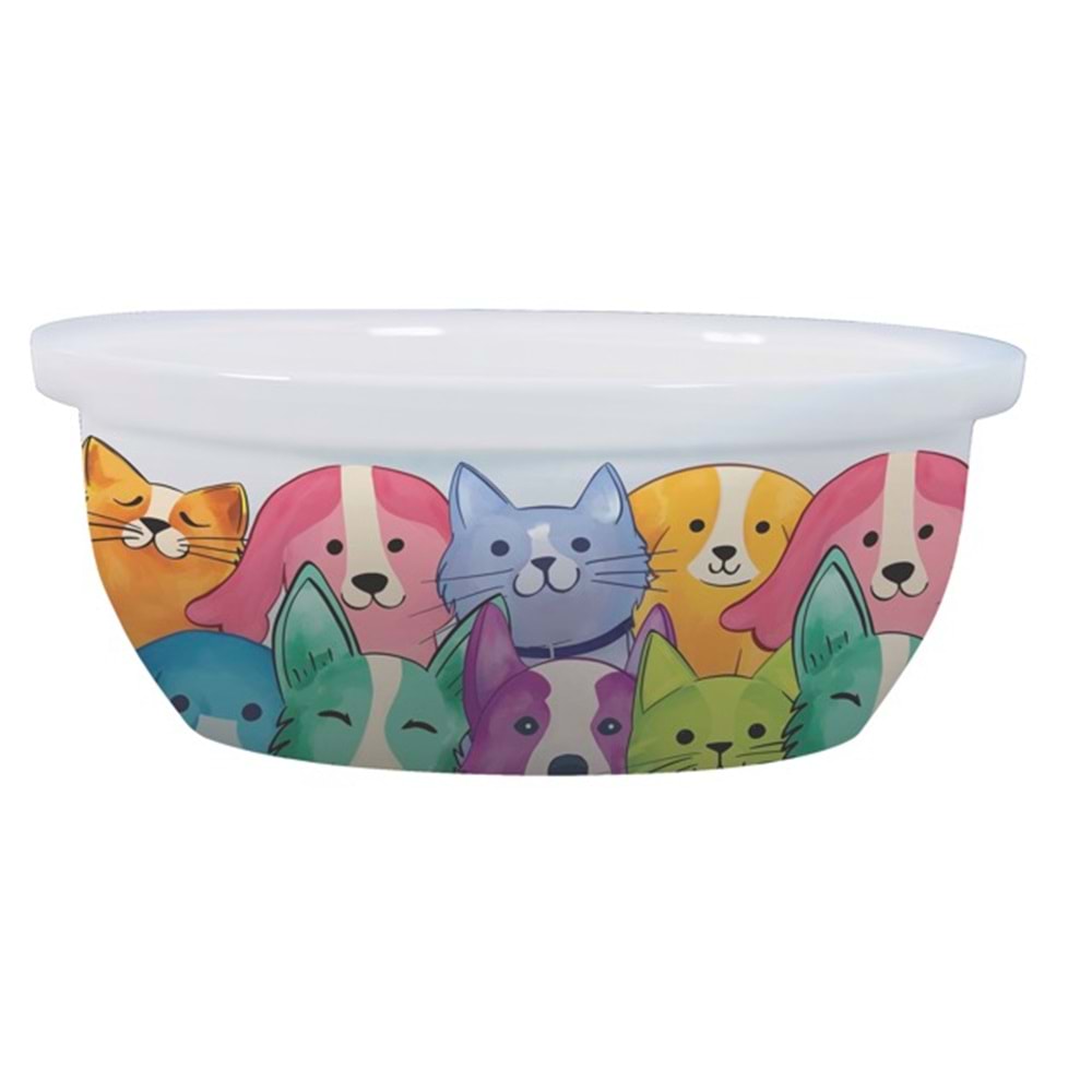 60566999 M-PETS PETJOY FEEDME BOWL SERAMİK MAMA KABI MİX COLOR 300ML