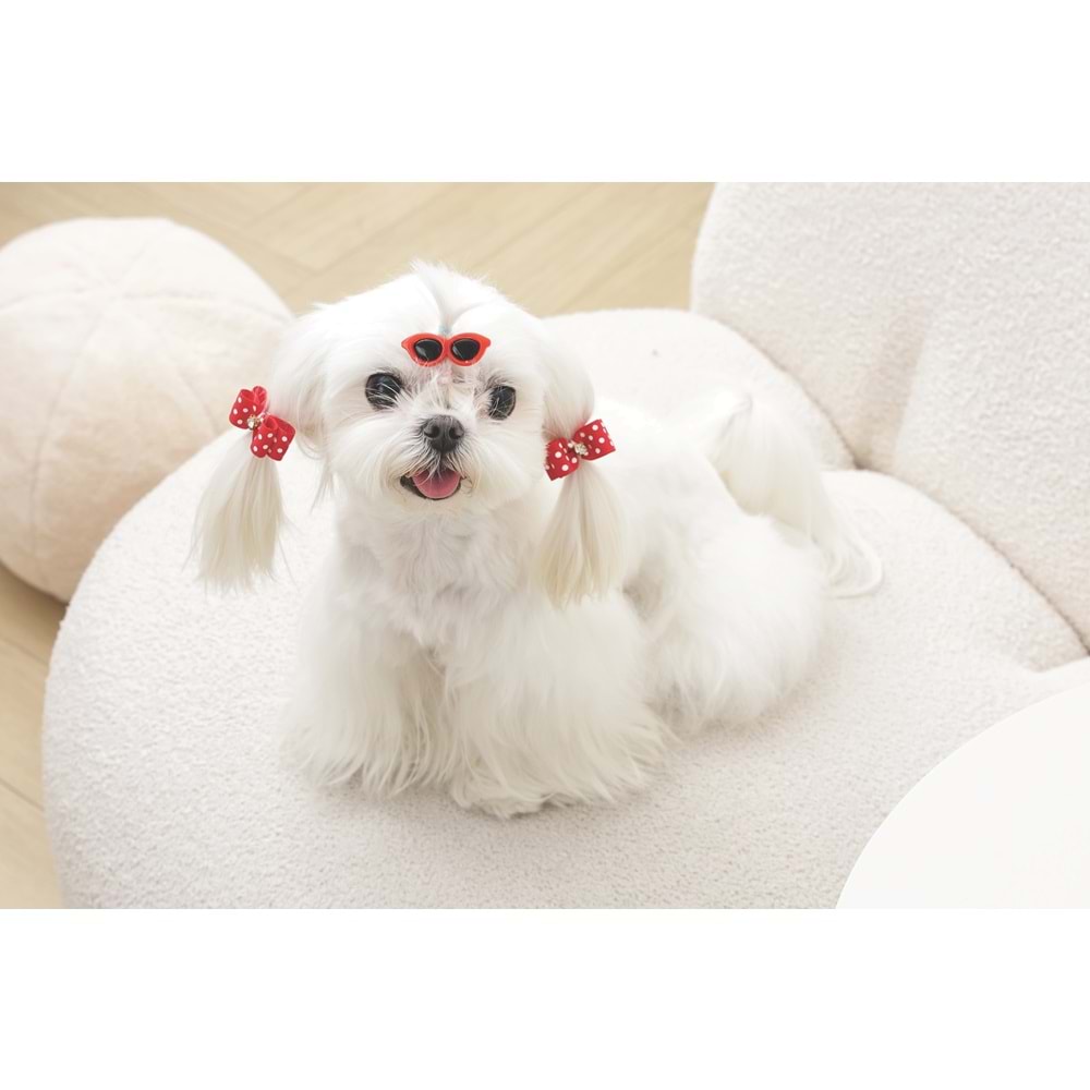 60900299 M-PETS GLAM KÖPEKLER İÇİN AKSESUAR TOKA RED