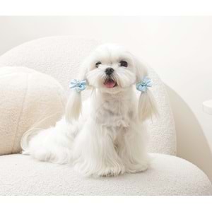 60900699 M-PETS GLAM KÖPEKLER İÇİN AKSESUAR TOKA BLUE