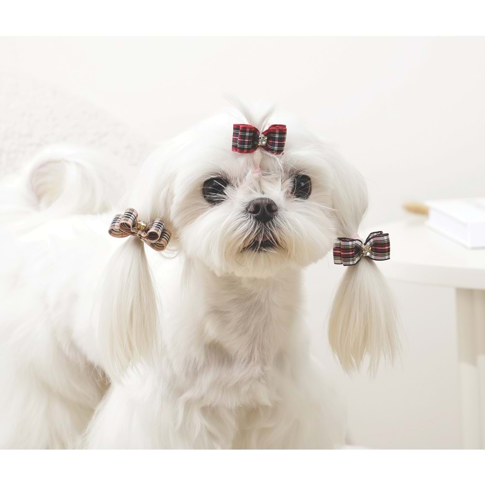 60901099 M-PETS GLAM KÖPEKLER İÇİN AKSESUAR TOKA RED