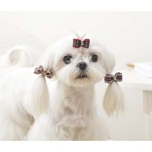 60901099 M-PETS GLAM KÖPEKLER İÇİN AKSESUAR TOKA RED