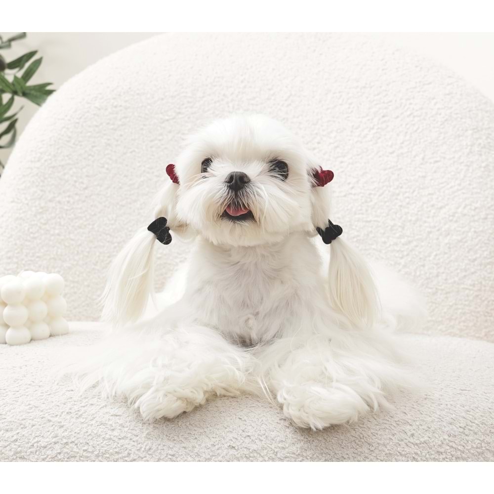 60901199 M-PETS GLAM KÖPEKLER İÇİN AKSESUAR TOKA BLACK/RED