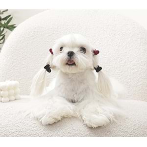 60901199 M-PETS GLAM KÖPEKLER İÇİN AKSESUAR TOKA BLACK/RED