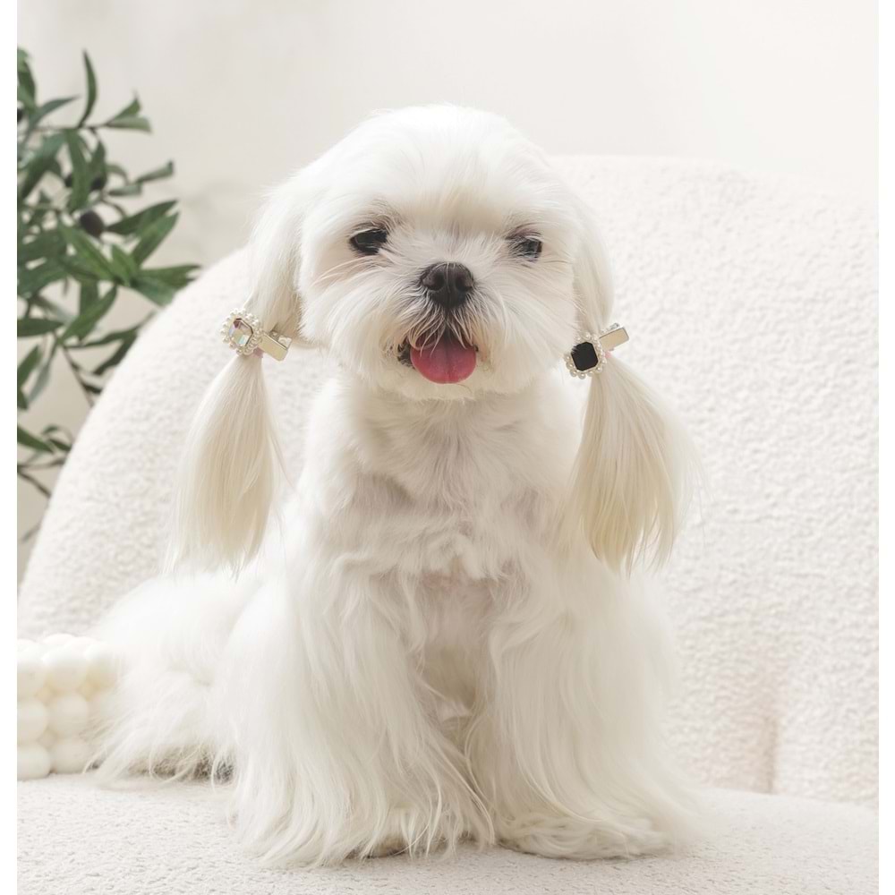 60901599 M-PETS GLAM KÖPEKLER İÇİN AKSESUAR TOKA BLACK/SİLVER