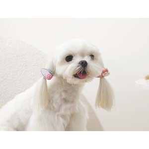 60901699 M-PETS GLAM KÖPEKLER İÇİN AKSESUAR TOKA PİNK
