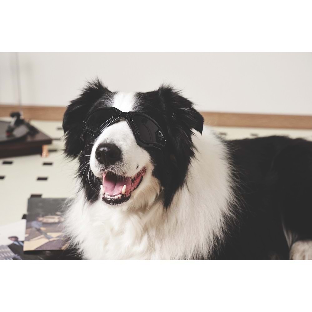 60901799 M-PETS SUNNY TRAILBLAZER KÖPEKLER İÇİN GÖZLÜK BLACK