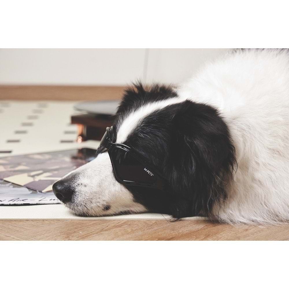 60901799 M-PETS SUNNY TRAILBLAZER KÖPEKLER İÇİN GÖZLÜK BLACK