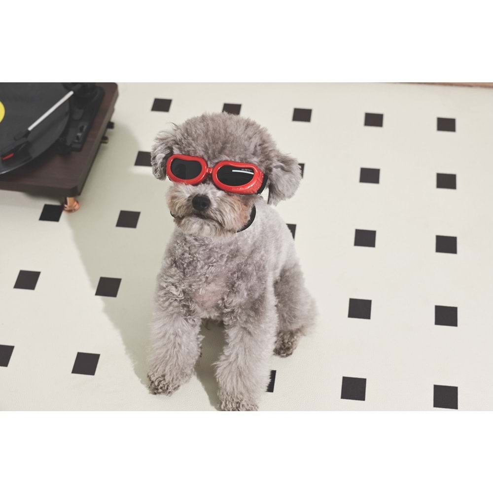 60901899 M-PETS SUNNY DAYTRIP KÖPEKLER İÇİN GÖZLÜK RED