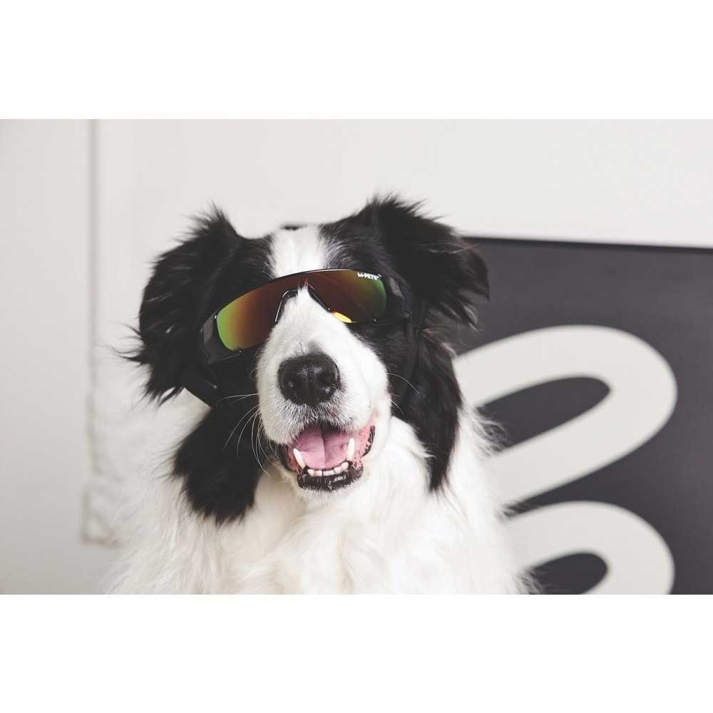 60901999 M-PETS SUNNY SUNBATHER KÖPEKLER İÇİN GÖZLÜK BLACK