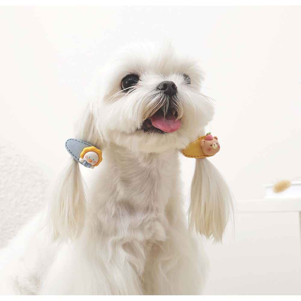 60902099 M-PETS GLAM KÖPEKLER İÇİN AKSESUAR TOKA YELLOW