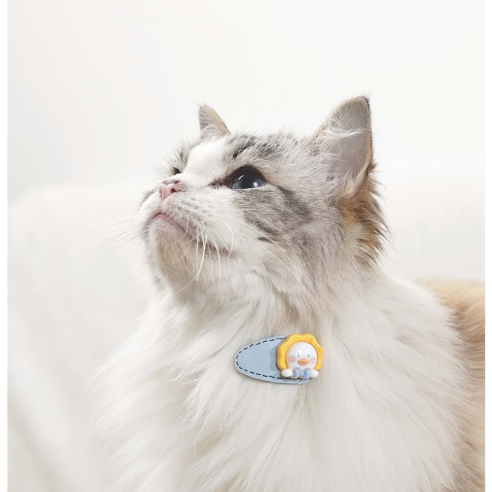 60902099 M-PETS GLAM KÖPEKLER İÇİN AKSESUAR TOKA YELLOW