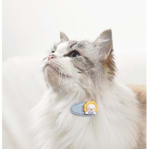 60902099 M-PETS GLAM KÖPEKLER İÇİN AKSESUAR TOKA YELLOW