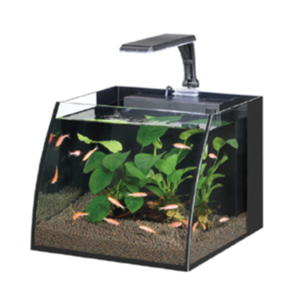 HAQOS BELLY BOX 25 LED AYDINLATMALI NANO AKVARYUM 11L BLACK