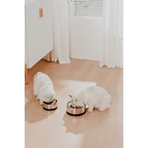 PAWGETHER BOWL 2 METAL MAMA KABI 400ML