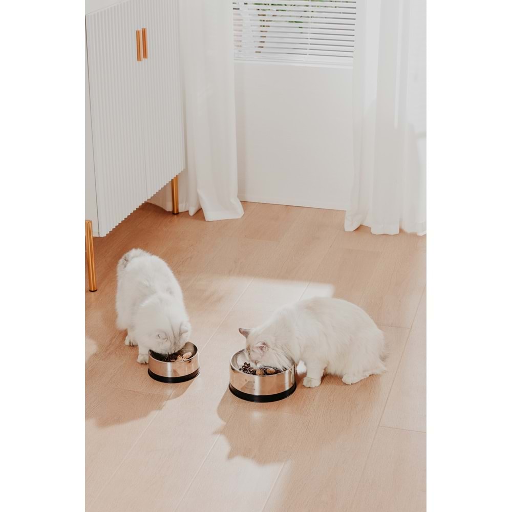PAWGETHER BOWL 2S METAL MAMA KABI 850ML