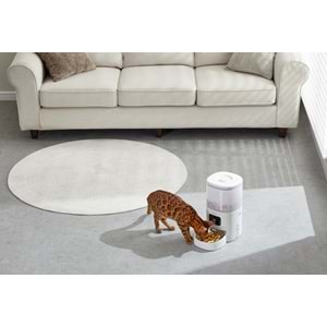 PAWGETHER F2S OTOMATİK MAMA KABI 4L WİFİ VERSİYON
