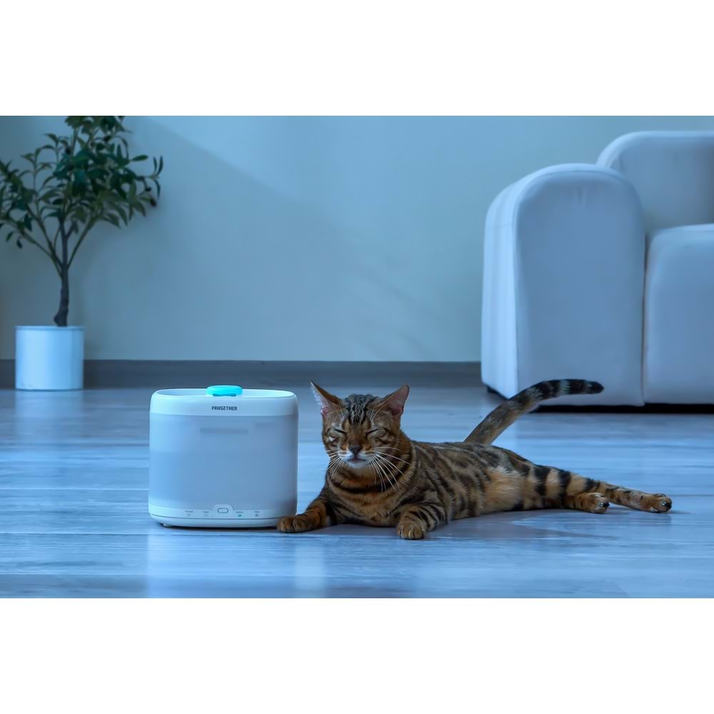 PAWGETHER PURE 3S OTOMATİK SU SEBİLİ 2L