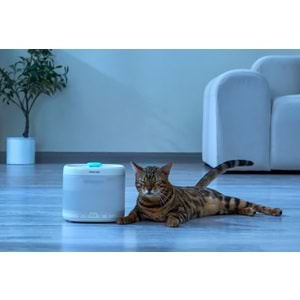 PAWGETHER PURE 3S OTOMATİK SU SEBİLİ 2L