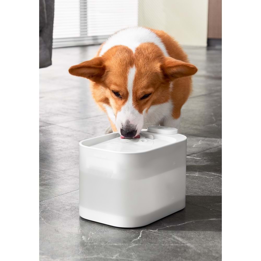 PAWGETHER PURE 4S OTOMATİK SU SEBİLİ 2,5L